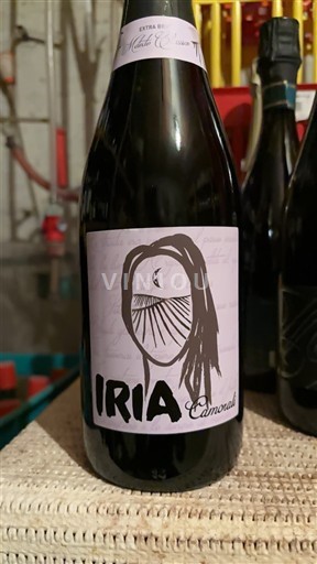 Emilie-Romagne Camorali IRIA 2024