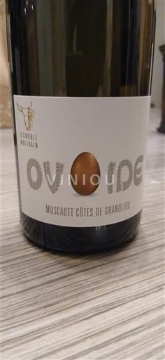 Loire Valley Muscadet Côtes de Grand Lieu Vignoble Malidain Ovoïde 2023