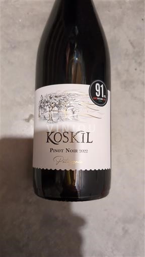 Río Negro Alta Valle del Río Negro Koskil Pinot noir 2022