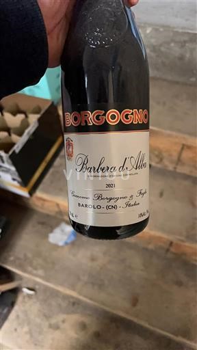 Piemont Barbera d'Alba Borgogno 2021