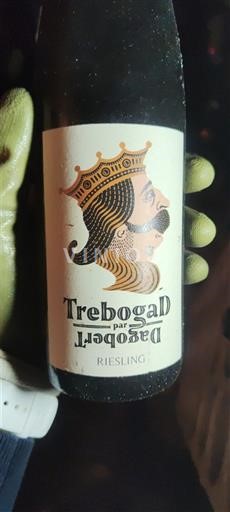 Alsace Không được chỉ định Dagobert Trebogat 2018