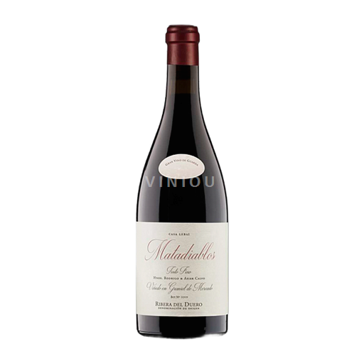 Castille et León Ribera del Duero Casa Lebai Matadiablos 2021