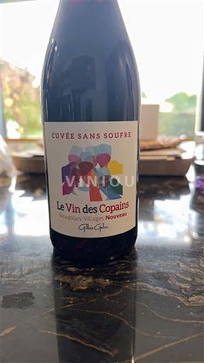 Beaujolais Non specificato Le Vin des Copains Sans Soufre Senza annata