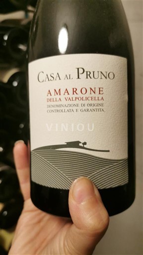 Veneto Amarone della Valpolicella Casa al Pruno 2016
