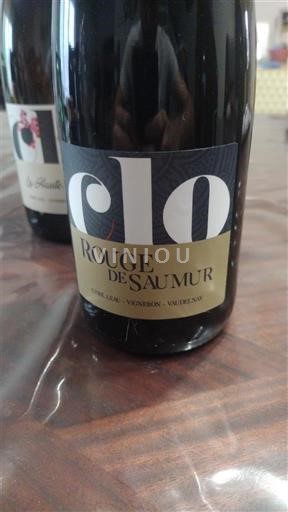 Dolina Loare Saumur Le Clos 2020