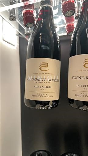 Bourgogne Nuits-saint-georges Premier Cru Domaine Benoit Chevallier Aux Damodes 2022