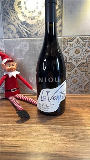 Valle del Ródano Côtes del Ródano Domaine Bois de St Jean Les Vents 2024