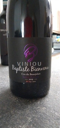 Beaujolais Saint-Amour Baptiste Bienvenu 2019