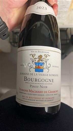 Bourgondië Bourgogne Domaine La Vierge Romaine 2023