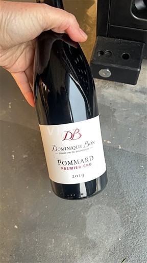 Burgundsko Pommard Premier Cru Dominique Bon 2019