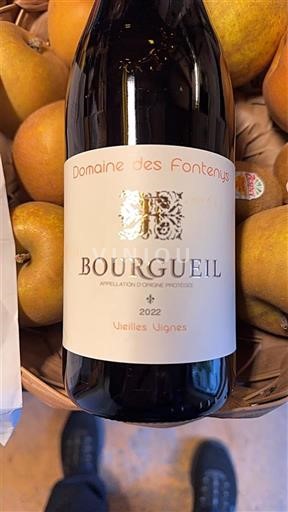 Vale do Loire Bourgueil Domaine S Fontenys Vieilles Vignes 2022