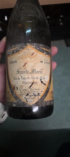 Langvedok Ni doloceno Sainte-Marie 2005