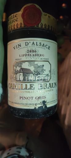 Elsass Camille Braun Lippelsberg 2006