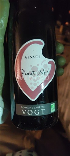 Alsace Domaine Laurent Vogt 2024