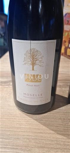 Lorena Mosela Château Vaux PYLÆ Pinot Noir 2020