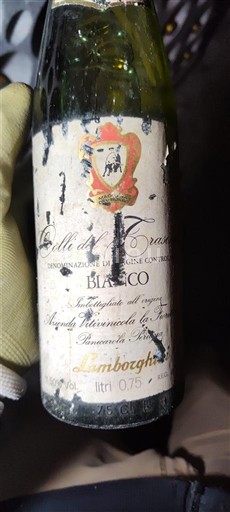 Umbrien Colli del Trasimeno Lamborghini 1984