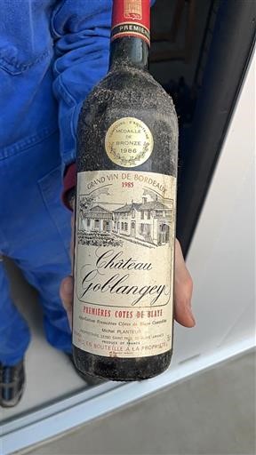 Bordeaux Not Specified Château Gollangey 1985
