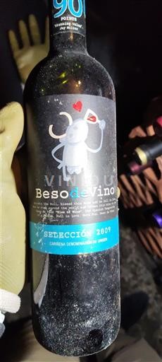 Aragonia Cariñena Beso de Vino Selección 2009
