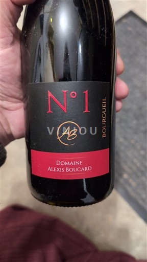 Vale do Loire Bourgueil Domaine Alexis Boucard N°1 2022