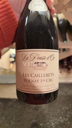 Borgoña Volnay Premier Cru La Pousse d'Or Les Caillerets 2016