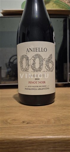 Patagonien Nicht spezifiziert Aniello 006 Riverside Estate 2024