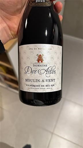 Beaujolais Moulin-à-vent Domaine S Ailes 2023