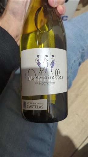 Valle del Rodano Côtes-du-Rhône Les Vignerons du Castelas Les Demoiselles de Rochefort 2023