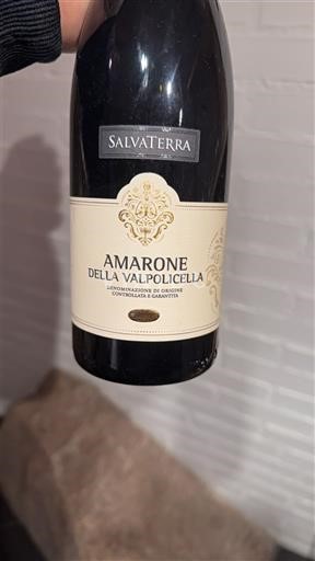 Veneto Amarone della Valpolicella Salvaterra 2016