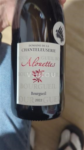 Valle del Loira Bourgueil Domaine La Chanteleuserie Alouettes 2022