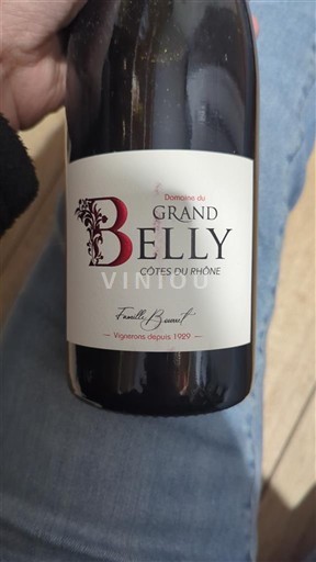 Rhône Valley Côtes du Rhône Domaine Grand Belly 2021