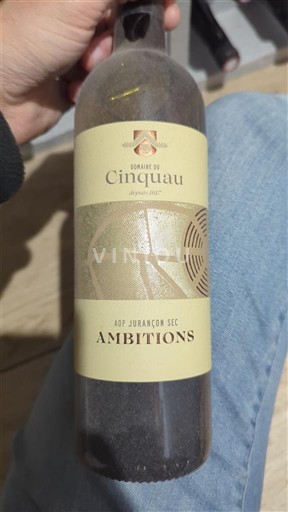 Sydvestfrankrig Jurançon Domaine Cinquau Ambitions 2020