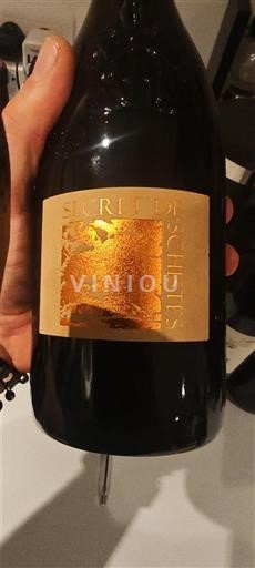 Languedoc e Roussillon Pays d'oc Domaine Gayda Secrets de Schistes 2020