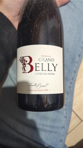Rhône Valley Côtes du Rhône Domaine Grand Belly 2021