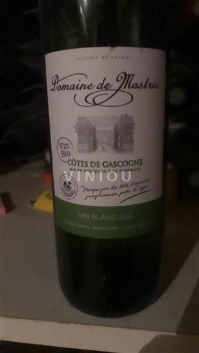 Zuidwest-Frankrijk Côtes de Gascogne Domaine Mastric Niet-geïntegreerd