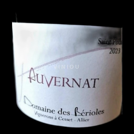 Valle della Loira Saint-Pourçain Domaine des Bérioles Auvernat 2023