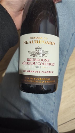 Borgogna Côtes-du-couchois Domaine Beauregard Les Grandes Plantes 2022