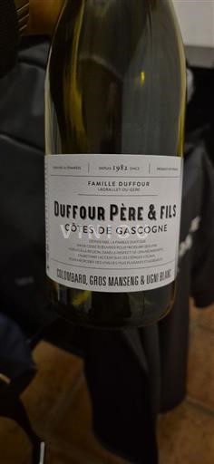 Zuidwest-Frankrijk Côtes de Gascogne Duffour Père & Fils 2024
