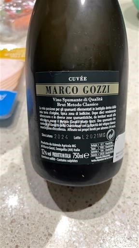 Marche Marco Gozzi Marco Gozzi 2021