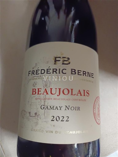 Beaujolais Frédéric Berne Gamay Noir 2022