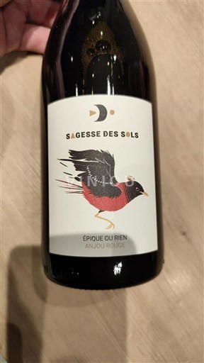 Valle del Loira Anjou Sagesse des Sols Épique ou Rien 2024