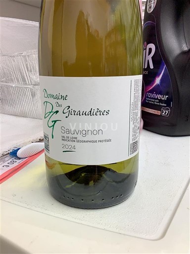 Dolina Loare Domaine S Giraudières Sauvignon 2024