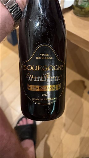 Valle della Loira Côtes-d'Auvergne Domaine Petitjean Les Bousselots 2022