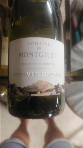 Vallée de la Loire Coteaux-de-l'aubance Domaine Montgilet 2022