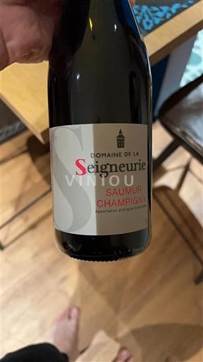 Loire Valley Saumur-Champigny Domaine La Seigneurie 2023