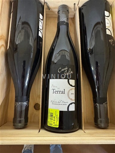 Castile and León Ribera del Duero Altos de Terral Julia 2018