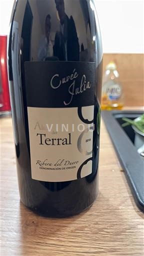 Castile and León Ribera del Duero Altos de Terral Julia 2018