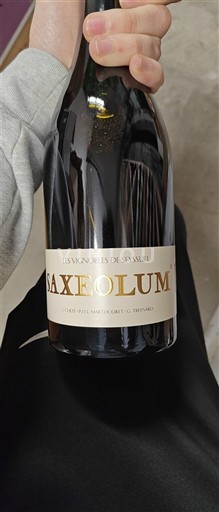 Alpen en Rhônevallei Rhodanische Heuvels Les Vignobles de Seyssuel Saxeolum 2023