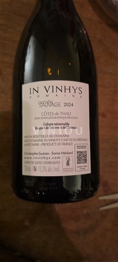 Languedoc-Roussillon Côtes de Thau Domaine In Vinhys Sauvage 2024