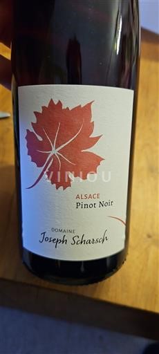 Alsasko Rulandské modré Domaine Joseph Scharsch 2024