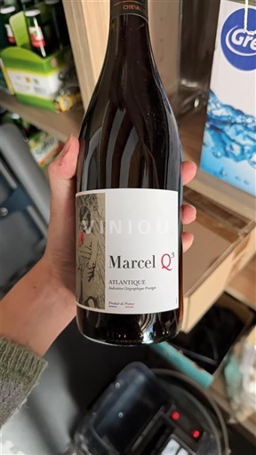 Akvitanien och Charentes Atlantique Marcel Q³ 2020